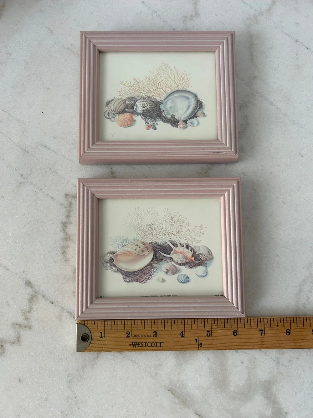 Vintage Pink Coastal Shell Wall Art Set - Home Accents